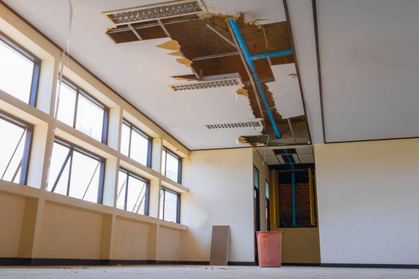 Best Local water damage restoration  in Glendale, OH