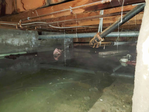 Best Emergency water damage restoration  in Glendale, OH