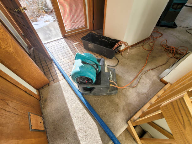 Best Professional water damage repair  in Glendale, OH