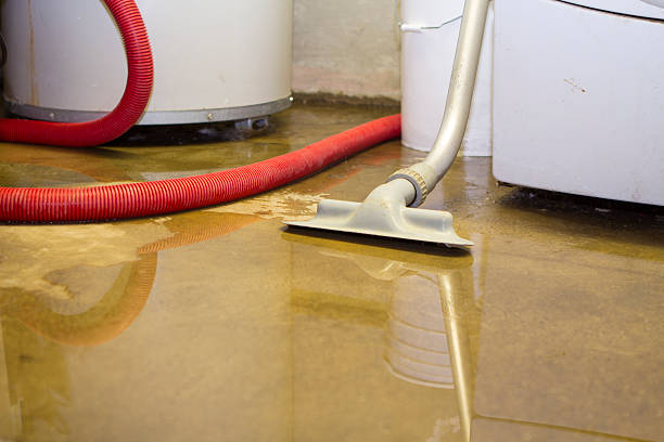 Best Flood damage cleanup  in Glendale, OH