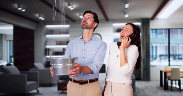 Best Ceiling water damage repair  in Glendale, OH