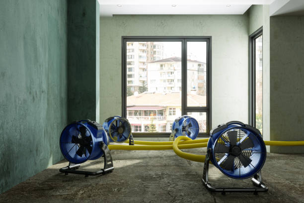Best Water damage restoration near me  in Glendale, OH